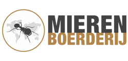 Mierenboerderij farm kopen
